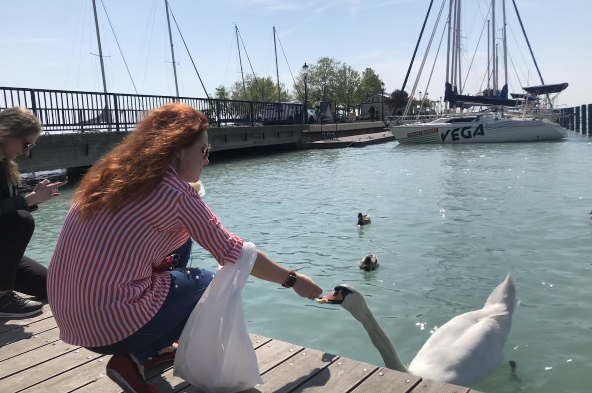 Экскурсия на Балатон и Хевиз (Светлана)