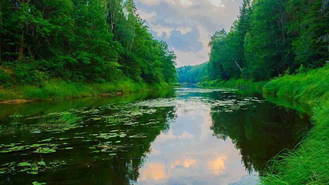 Река в нижнем. Река Керженец Керженский заповедник. Заповедник Керженец Нижегородской области. Нижний Новгород заповедник Керженский. Речка Керженец Нижний Новгород.